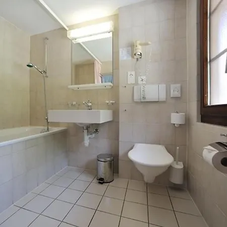 The Larix Ski-in Ski-out Hotel 3*