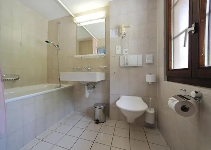 The Larix Ski-in Ski-out Hotel 3*